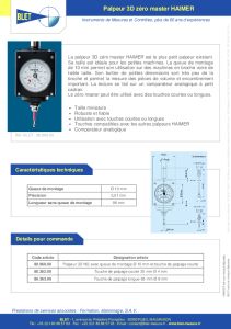 BLET - PALPEUR 3D ZERO MASTER HAIMER