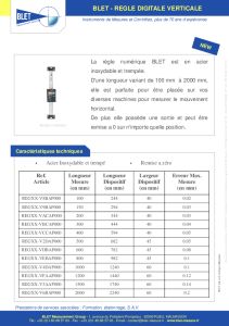R�gles Digitales Verticales BLET