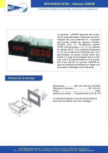 Afficheurs num�riques JUNIOR de DITEL