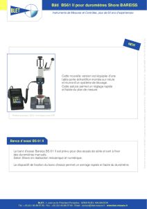 Bti BS 61 II pour duromtre Bareiss