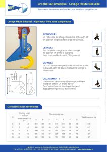 BLET - Crochet de Levage de scurit