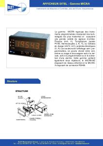Afficheurs numriques LED MICRA DITEL
