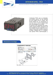 Afficheurs numriques PICA de DITEL