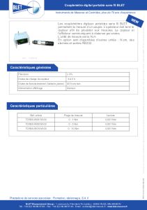 Couplem�tre num�rique portable sans fil BLET