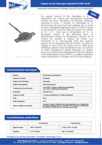 Capteur de flux thermique industriel BLET