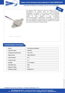 Capteur de flux thermique FLUH0-T000300 BLET