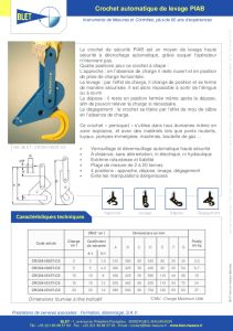 Crochet Automatique de Levage PIAB