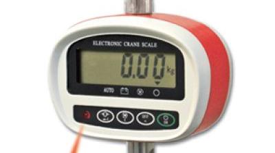 Peson Digital 100 tonnes - BLET